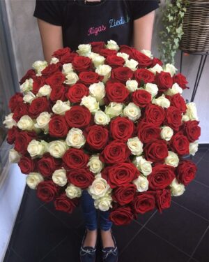 101 sarkana un balta roze