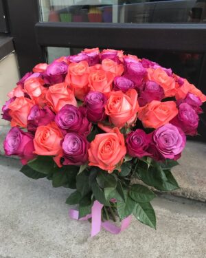 Laša krāsas un violetas rozes