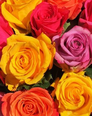 Dažādu krāsu rozes cilindriskā kastē