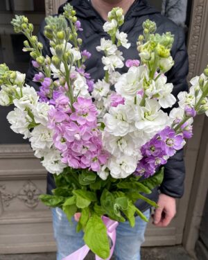 Dažādu krāsu smaržīgu lefkoju pušķis