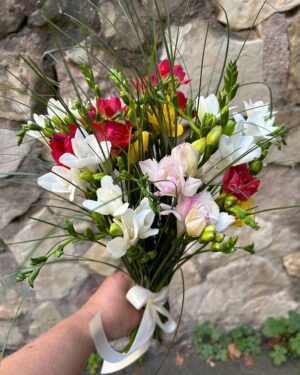 Frēziju mix ar zaļumiem