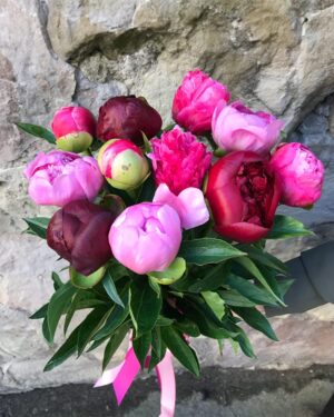 Peoniju pušķis mix