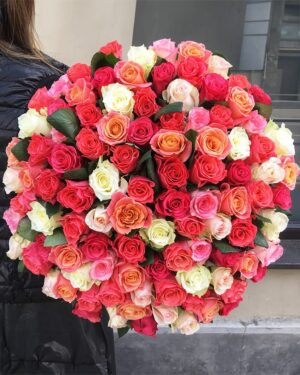 101 rozā, balta, laša krāsas roze