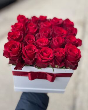 Sarkanas rozes kvadrāta kastē