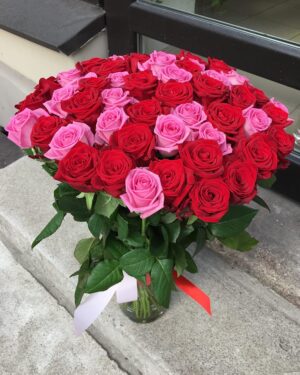 51 sarkana un rozā roze