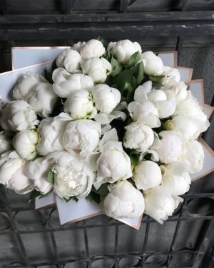 Baltu peoniju pušķis